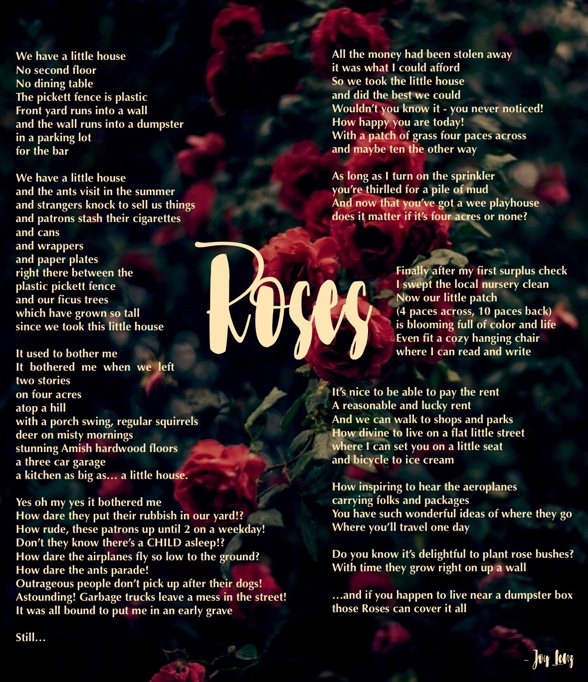 Roses poem by Bethany Joy Lenz - Modern Vintage life
